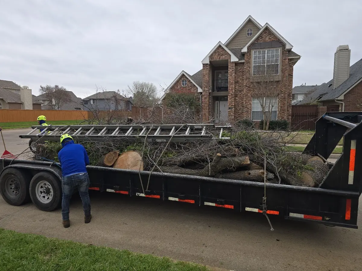 Expert Lot Clearing with proper safety equipment in Longview